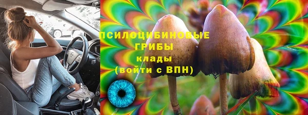 apvp Алексин