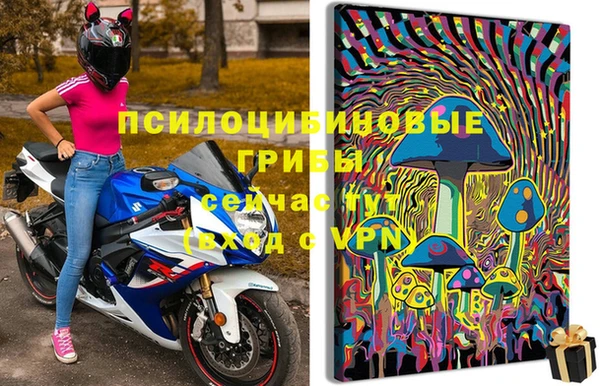apvp Алексин