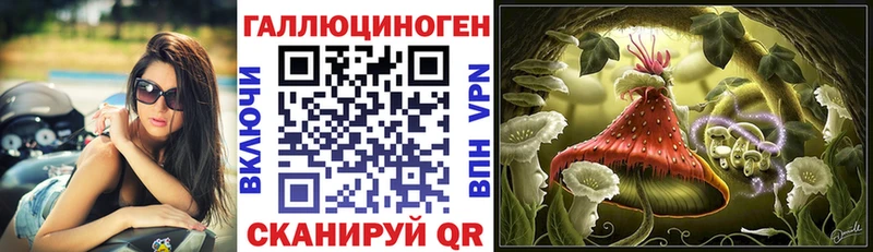 Псилоцибиновые грибы Psilocybine cubensis  Лермонтов 